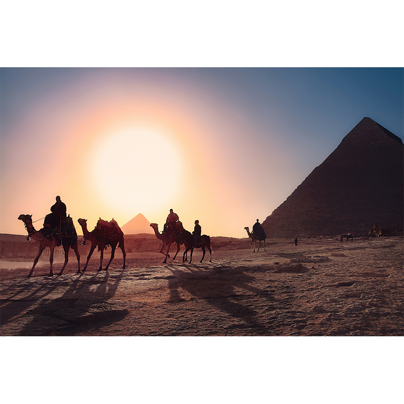 Πίνακας σε καμβά camel ride in Egypt